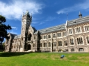 catlins (58)